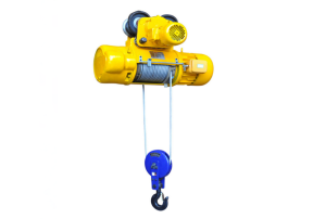 CD Electric Hoist
